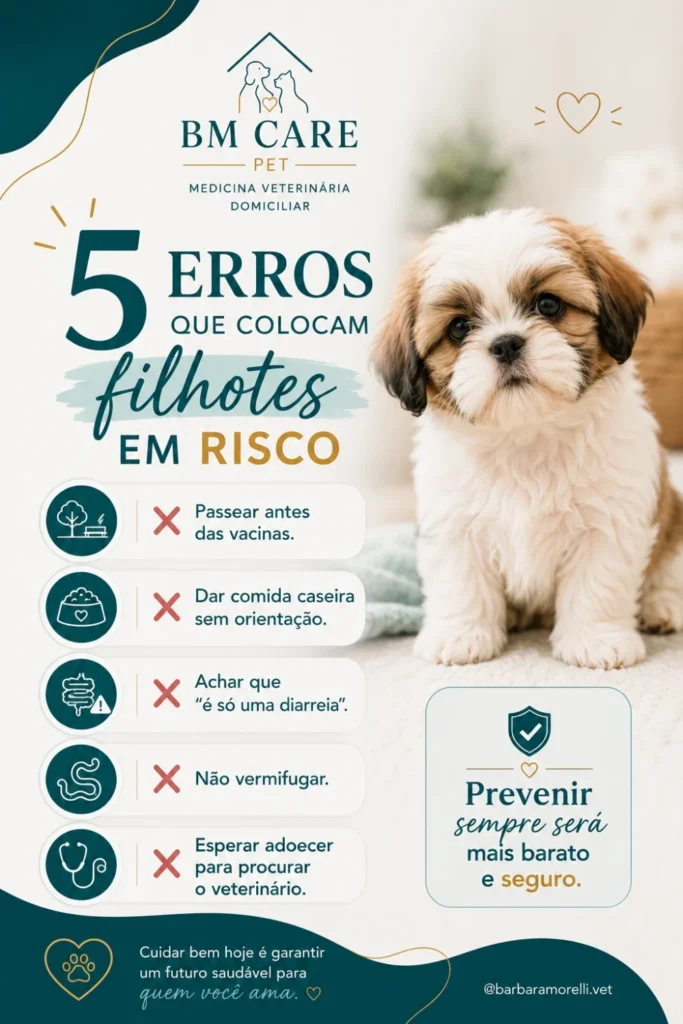 Bárbara Morelli – Veterinária Domiciliar