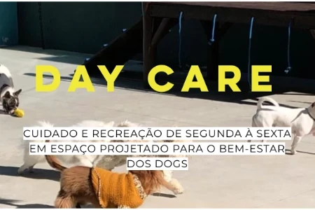 DOGHOOD | daycare e hotel para cães